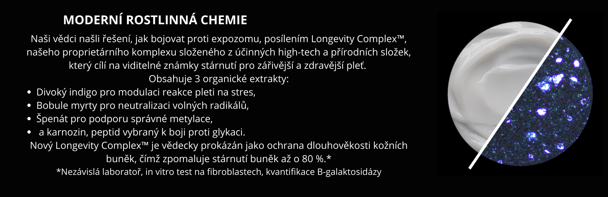banner rostliny